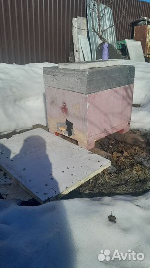 Ули для пчёл