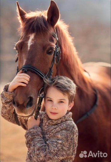 Фотодень с лошадью