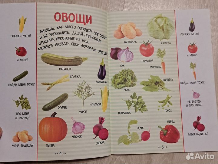 Доманская Л.В. Что где растет Овощи фрукты ягоды