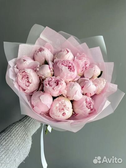 Пионы букет