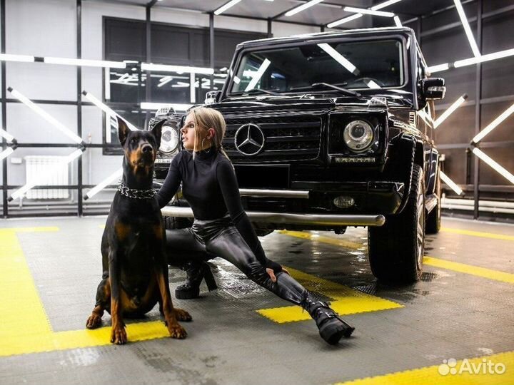 Модульная плитка пвх