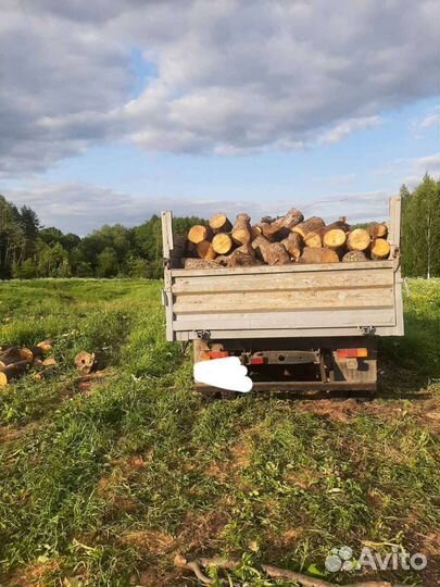 Продам дрова Ольха