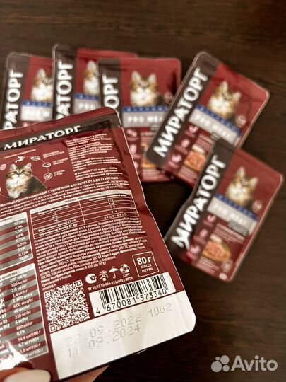 Влажный корм для котят