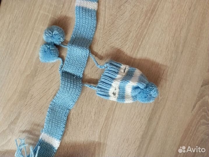 Обувь, и шапки для собак