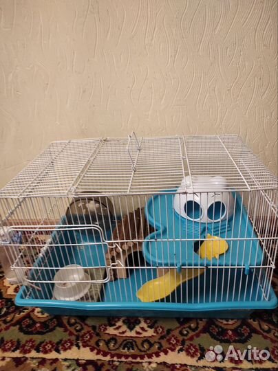 Клетка для хомяка