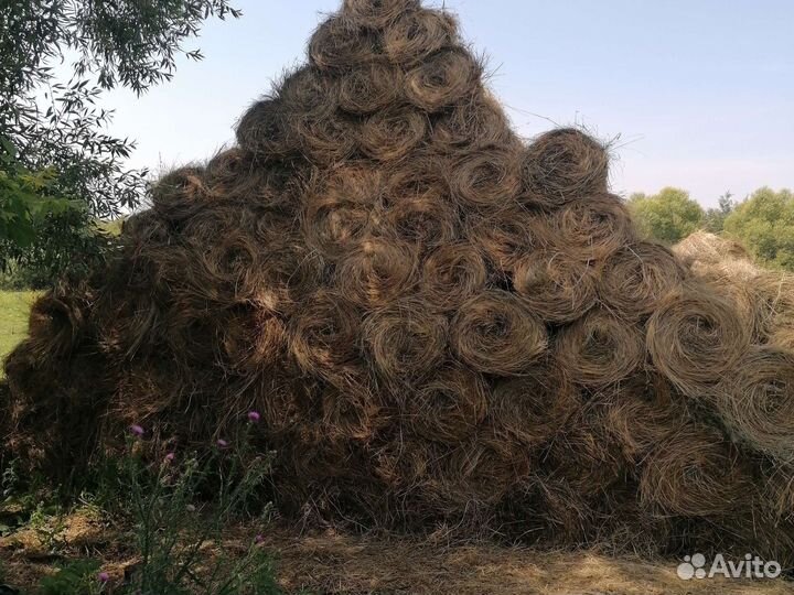Сено луговое