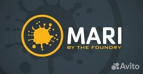 Foundry Education (Nuke, Modo, Katana, Mari)