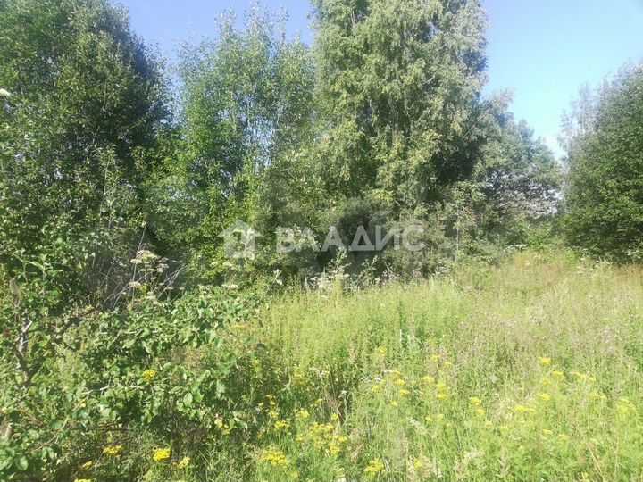 Участок 34 сот. (личное подсобное хозяйство (лпх))