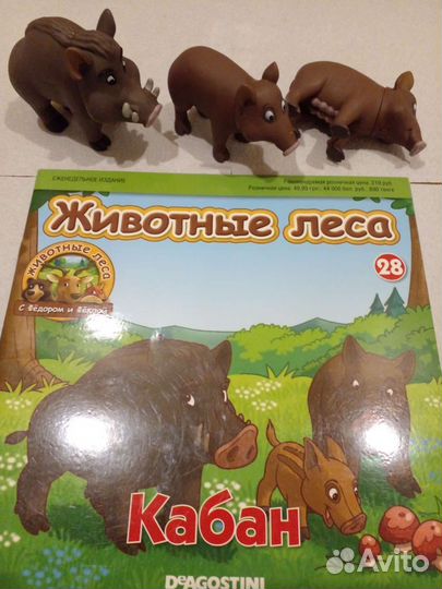 Животные леса. Кабан, рысь, бурундуки