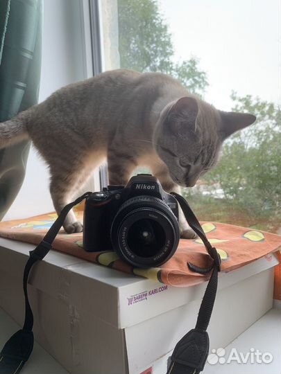 Фотоаппарат nikon d 5100