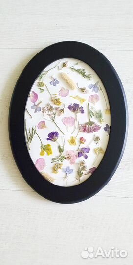 Панно картина из сухоцветов гербарий в рамке