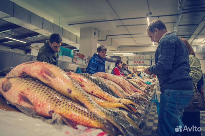 Продаётся рыбный магазин Волнорез