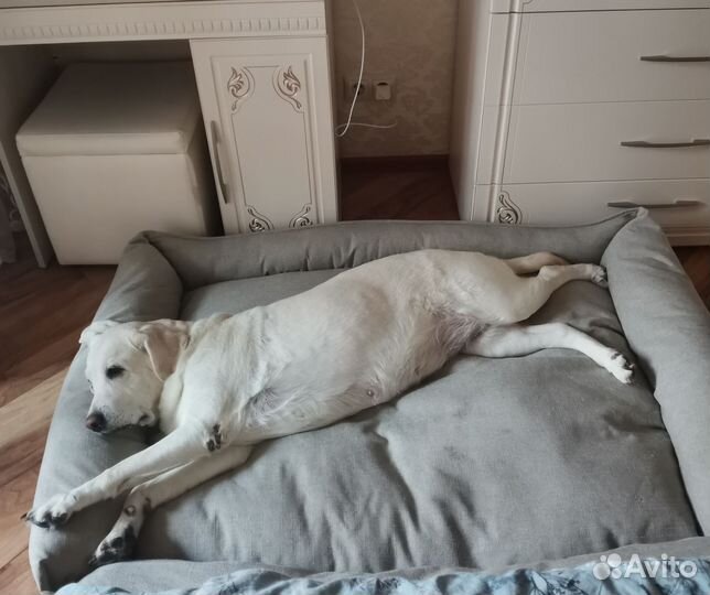 Лежак для средних и больших собак