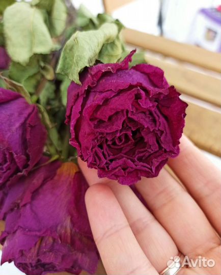 Розы засушенные, гипсофила