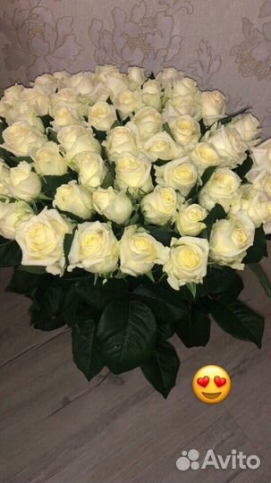 101 роза 51 роза 55 45 65 25 21 Букет Доставка