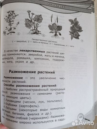 Книги для детей. Справочник школьника