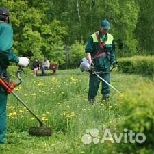 Покос скос травы на учстке триммером