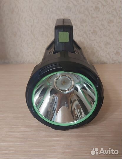 Гибискус китайская роза комнатные цветы