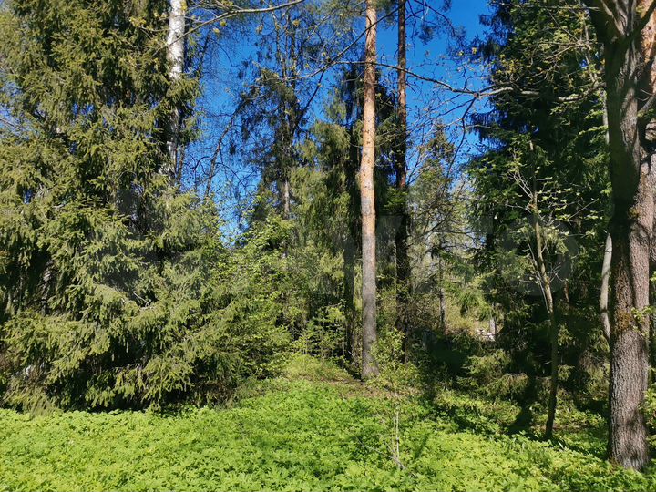 Участок 13 сот. (ИЖС)