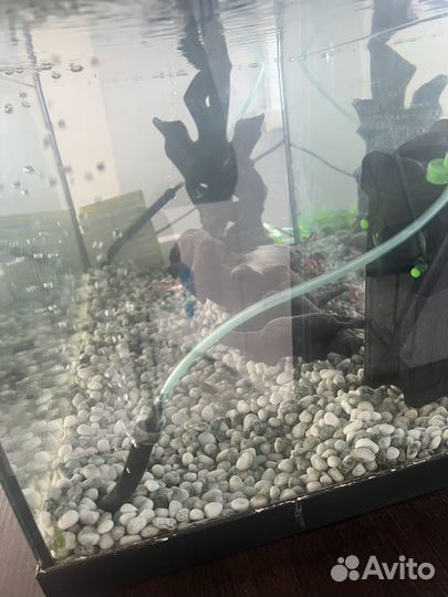 Аквариум с рыбками