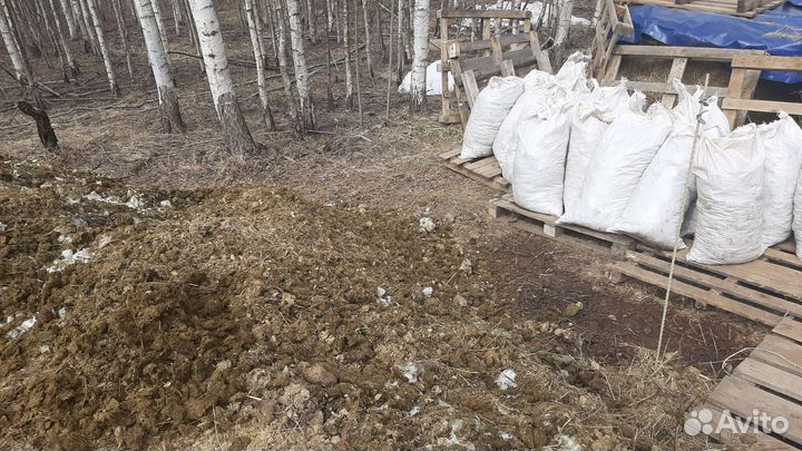 Конский навоз чистый без опилка из Клюшниково