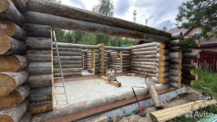 Срубы и пиломатериал из карельской сосны кело