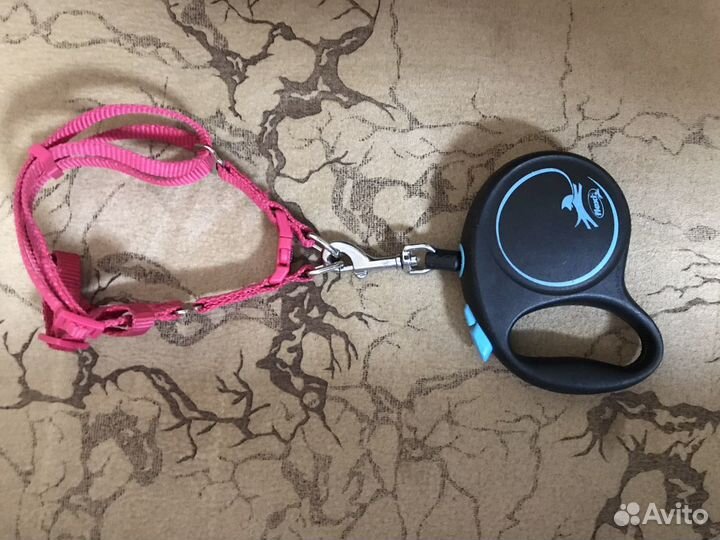 Шлейка и поводок