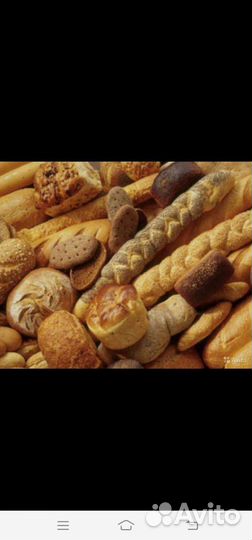 Просрочка на корм животным