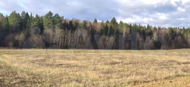 Участок 10,5 сот. (ИЖС)