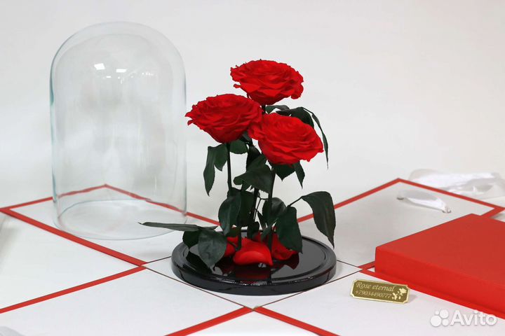 Цветы