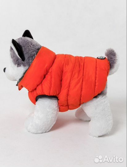Одежда для собак