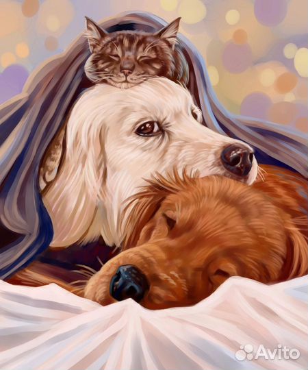 Портреты питомцев