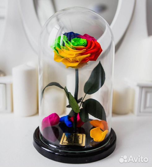 Роза в колбе