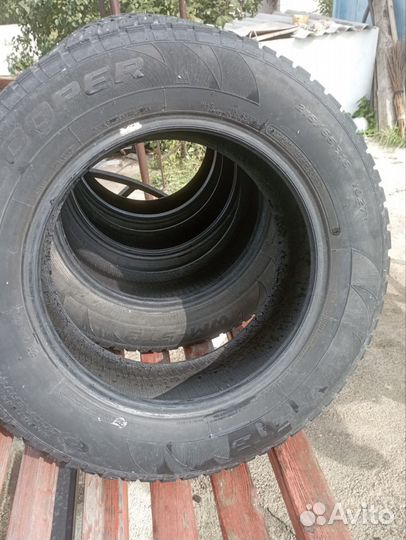 Cooper WinterMaster Plus 215/65 R16