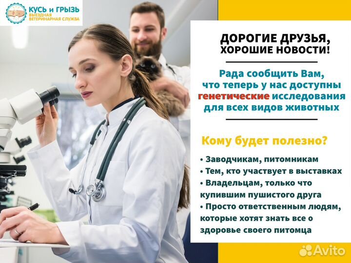 Ветеринарный врач круглосуточно на дом