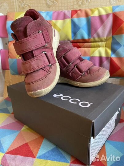 Ботинки ессо