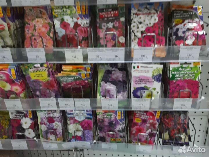 Семена петунии