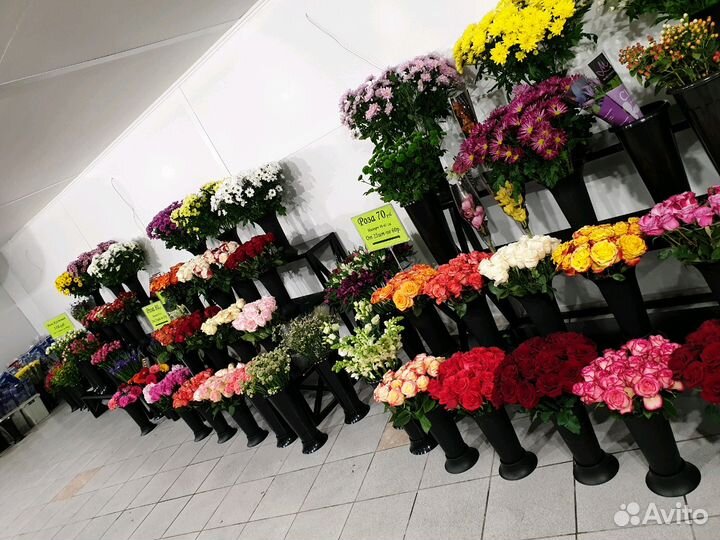 Розы оптом В любом количестве