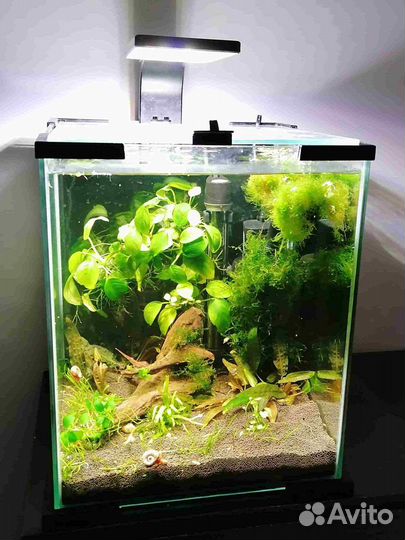 Аквариум Aquael (кубики 20 и 30 литров)