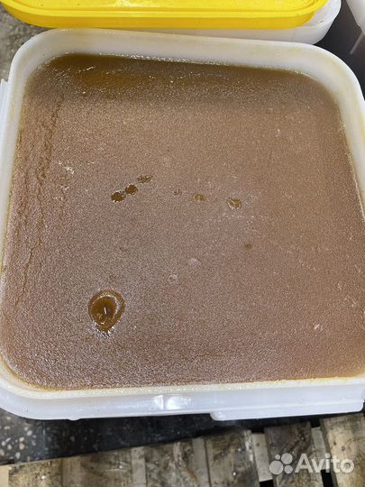 Натуральный гречишный мед опт