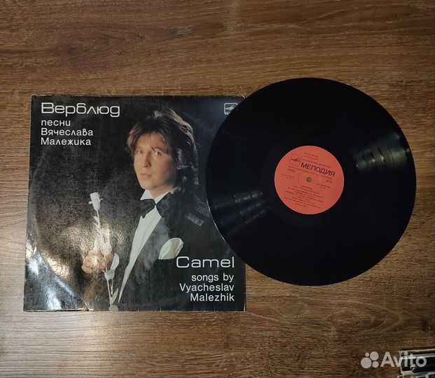 Пластинка Вячеслав Малежик 