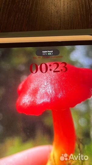 iPad Pro 12.9 Wi-Fi+Cellular 512 гб + Apple Pencil