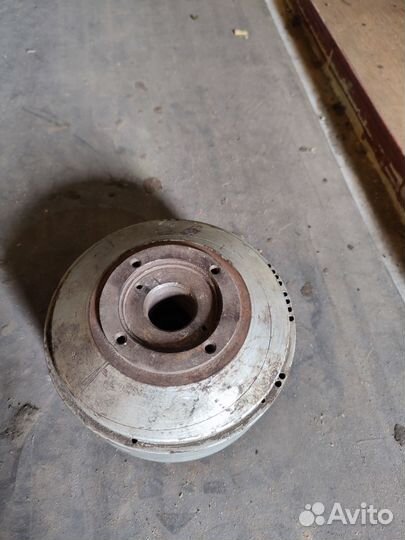 Династартер Муравей, Тула