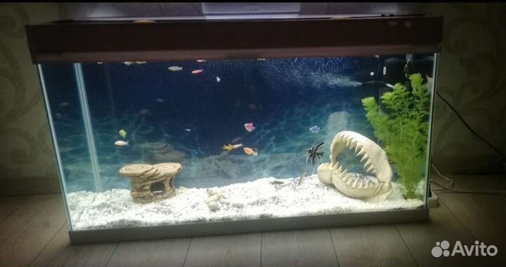 Аквариум