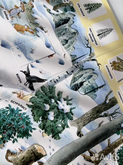 Книги с окошками