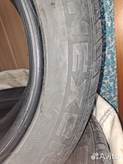 Nexen SB-700 205/55 R16