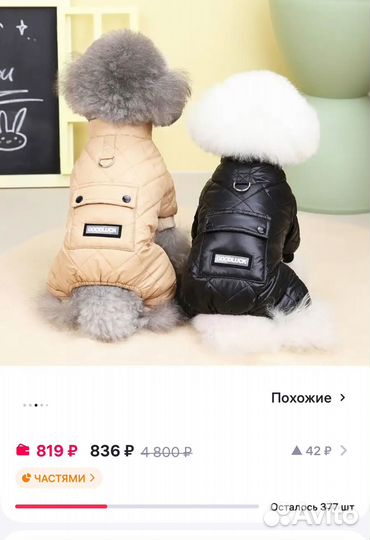 Одежда для маленьких собак