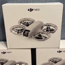 Dji Neo, Санкт-Петербург