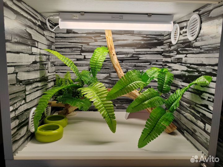 Террариумы под ключ