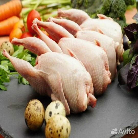 Тушка перепела